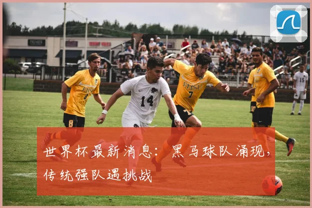 世界杯最新消息：黑马球队涌现，传统强队遇挑战