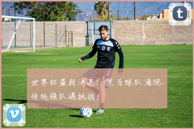 世界杯最新消息：黑马球队涌现，传统强队遇挑战