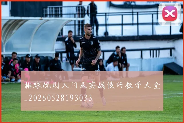 排球规则入门及实战技巧教学大全_20260528193033
